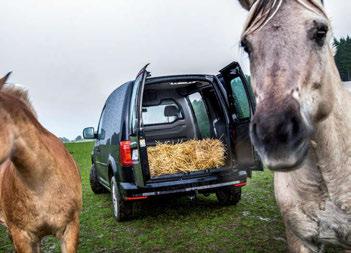 Den starkaste motorn, TDI 150, är förstås en härlig maskin och finns med både manuell låda och DSG-automat och med fram- eller fyrhjulsdrift, men smakar det så kostar det inte mer än att den lär