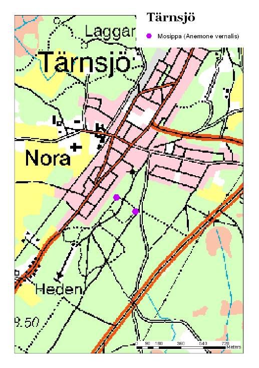 Tärnsjö start X motionsspår mål grusväg Sämre körväg Figur 6. Karta över Tärnsjö.