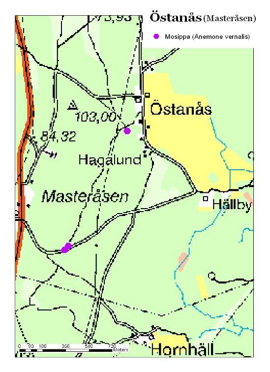 Falkenberg Större stig Mindre stig X Ca 100m Östanås Jordbruksmark Figur 10. Karta över Östanås där endast två plantor kunde hittas.