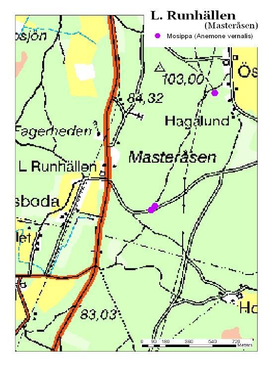L. Runhällen stig X Ca 60m X X stig Hällby Figur 12. Karta över L. Runhällen och Masteråsen.