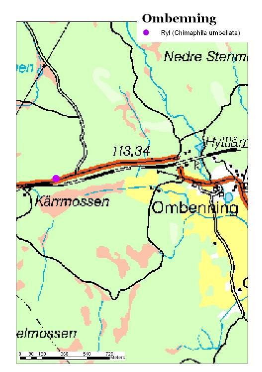 Dammsjön Figur 42 Växtplatsen vid Ombenning är belägen ca 170 m väster om