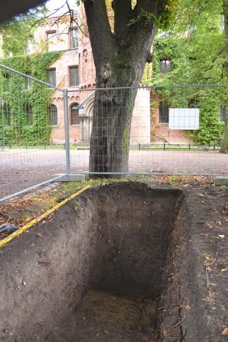 Schakt 7 För att utröna om det centrala området i Lundagård ägnats åt de ärkebiskopliga odlingarna grävdes schakt 7 till moränleran och makroprover togs av de odlingslager som framkom.