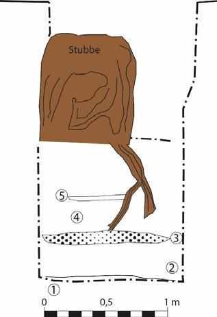 Fin sand, finkornig, torr och mager. Sättsand för stenläggning. 5. Brungrå, fet, finkornig, torr och kompakt lera med inslag av träkol och småsten. Relativt lucker. Planteringsjord för träd.