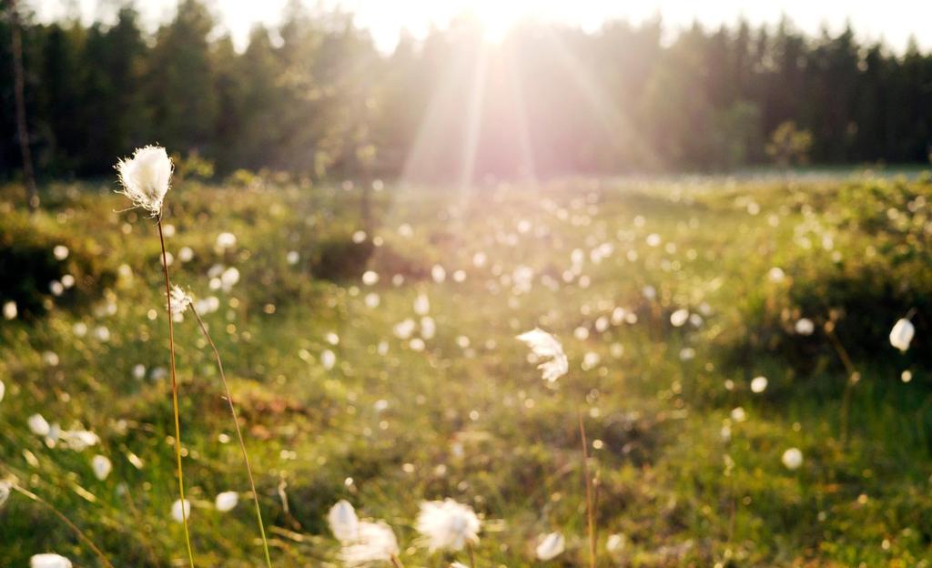 Exportrådgivare I Halland Maj 2017