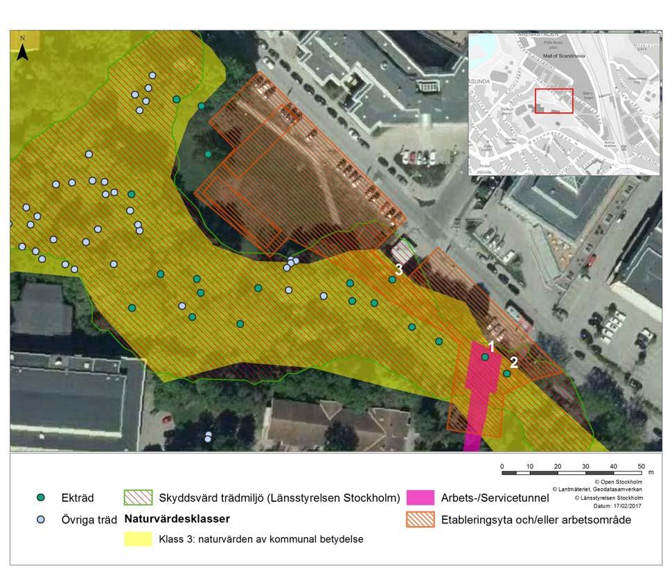 Figur 42. De träd som finns inom och omkring etableringsytan/arbetsområdet vid Dalvägen. Rekreation Grönområdet vid Hagalunds industriområde respektive Dalvägen nyttjas idag för närrekreation.