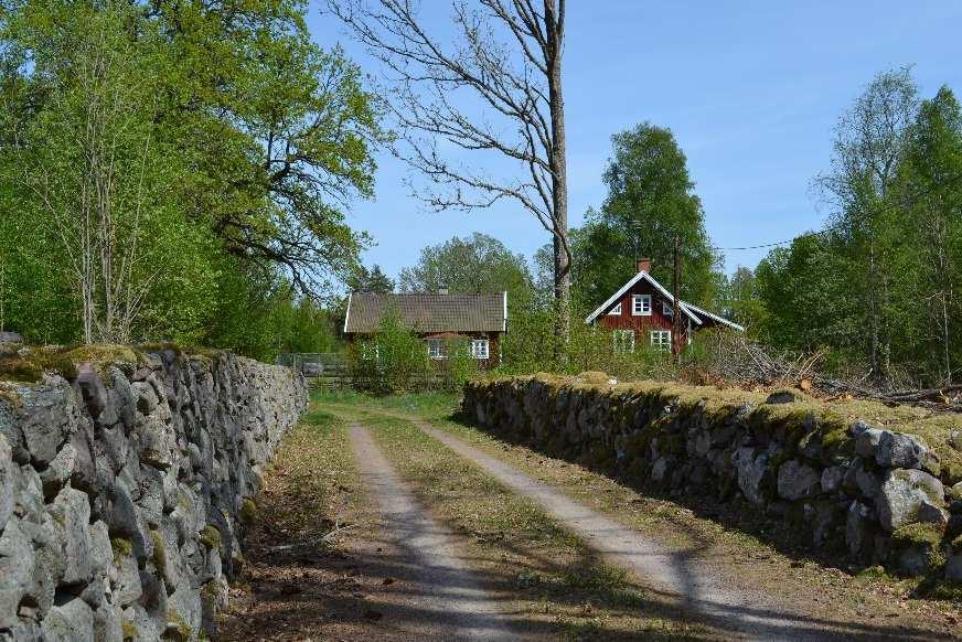 Arealuppgifter (enligt skogsbruksplan) Skogsmark Inägomark Impediment Övrig mark Total 15,6 ha 3,2 ha 0,3 ha 0,6 ha 19,7 ha Natur och kulturvärden Det finns inga nyckelbiotoper, höga naturvärden