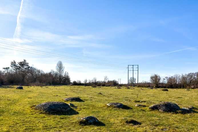 58 ha skog- och lantbruk, Grödby