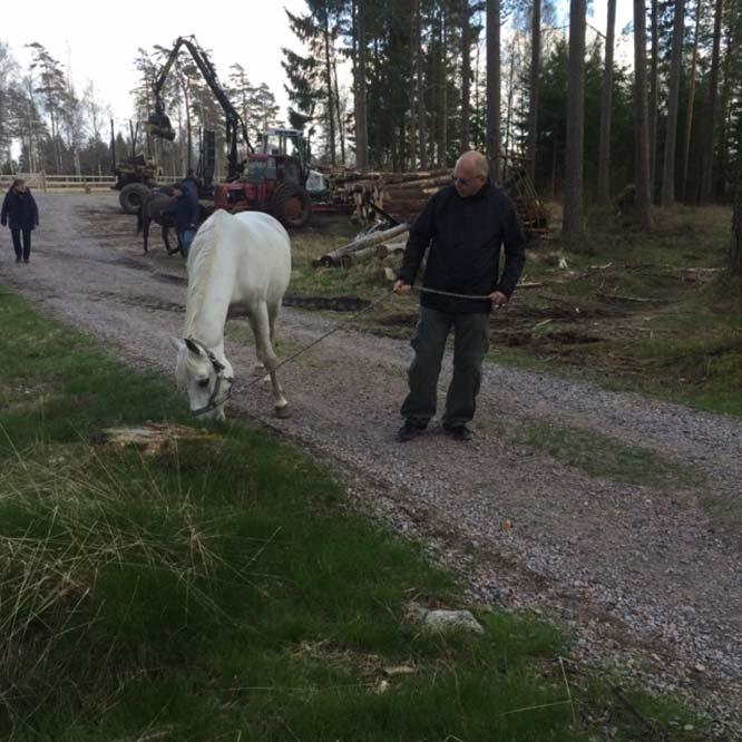 Att sätta gränser när, var, hur och vem?