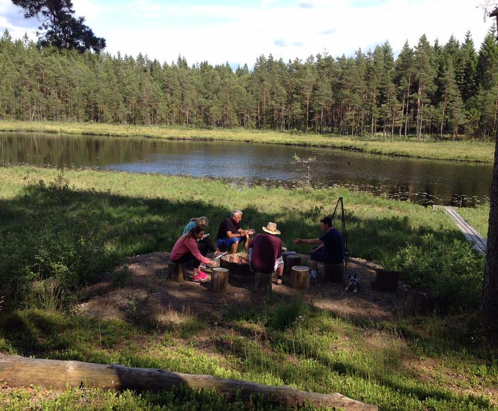 Avkoppling - gemensam fika vid sjön efter aktiviteterna Att fika tillsammans efter en aktiv eftermiddag i en naturligt avkopplande miljö Om vårdens resurser användes till