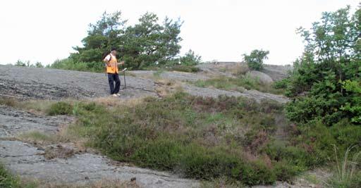 Nordväst om gläntan ansluter ett bergsparti som sluttar mot öster (figur 9).