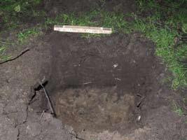 Utredning i Hästevik PG5 0-20 cm humös sand 20 cm anrikningsskikt/sand Belägen söder om