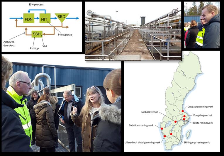 Rapport Nr 2017-06 Sidoströmshydrolys och biologisk fosforavskiljning på svenska avloppsreningsverk
