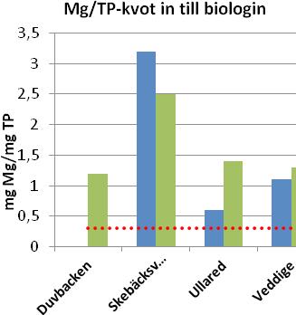 En god reduktion av fosfat över biologen innebär dock inte att reningsverket har en god bio-p-funktion.