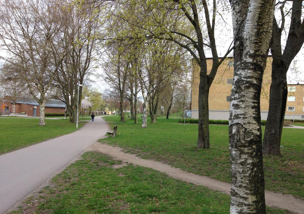 Parker och torg Planområdet angränsar till Linehedsparken. Parken är en mycket viktig kvalitet för stadsdelen och ska därför värnas.