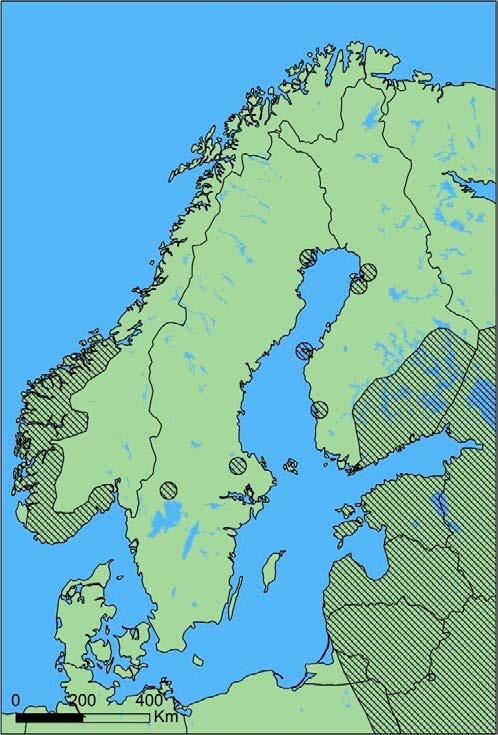 Figur 4. Utbredningen av vitryggig hackspett i nordvästra Europa (från Stighäll 2015).