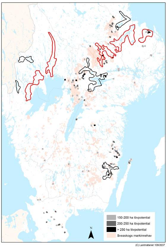 Skogslandskap där befintliga naturvärden bevaras eller där värden restaureras när förutsättningarna är goda. Ekologi går före ekonomi.