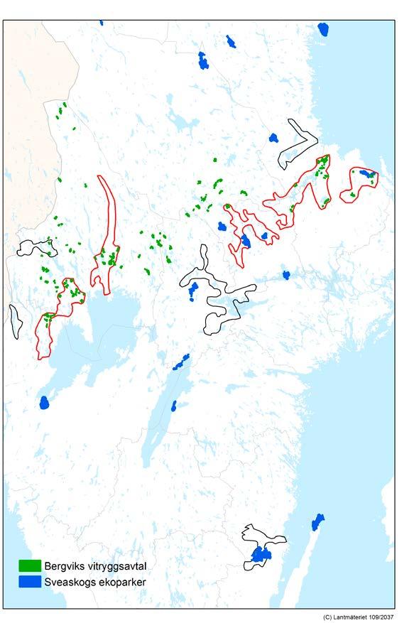 Figur 8. Bergviks skogsområden som är avsatta med särskild hänsyn till vitryggig hackspett (grönt) och Sveaskogs ekoparker (blått). Även ekoparker som inte har stora lövskogsvärden är utritade.