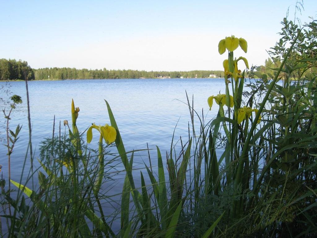 Foto: Eeva-Kaarina Aaltonen