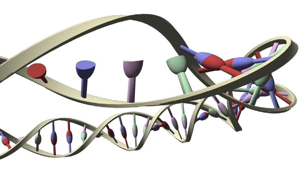 Två Nobelpris med biologisk koppling Text: Lisa Reimegård Illustration: Ola Lundström I början av oktober 2015 stod det klart att årets Nobelpris i fysiologi eller medicin lyfter fram upptäckter som