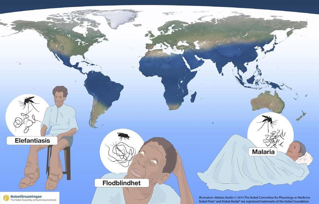 Elefantiasis och flodblindhet orsakas av maskar som sprids via myggor respektive knott och malaria av encelliga organsimer som sprids via myggor.