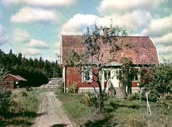 Vita sten
