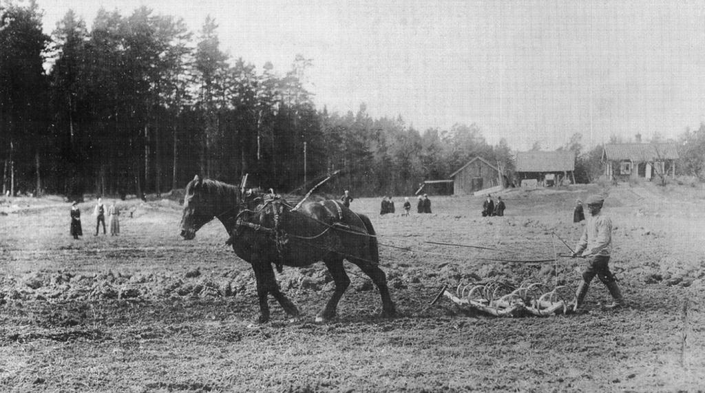 Vårbruk i