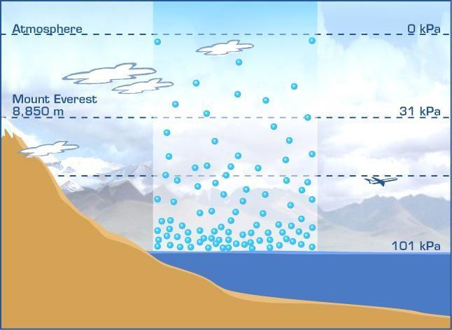 Atmosfärens sammansättning - Troposfären Polerna: 8-10 km Ekvatorn: 16-18 km Luft: 78 % kväve, N 2 21 % syre, O 2