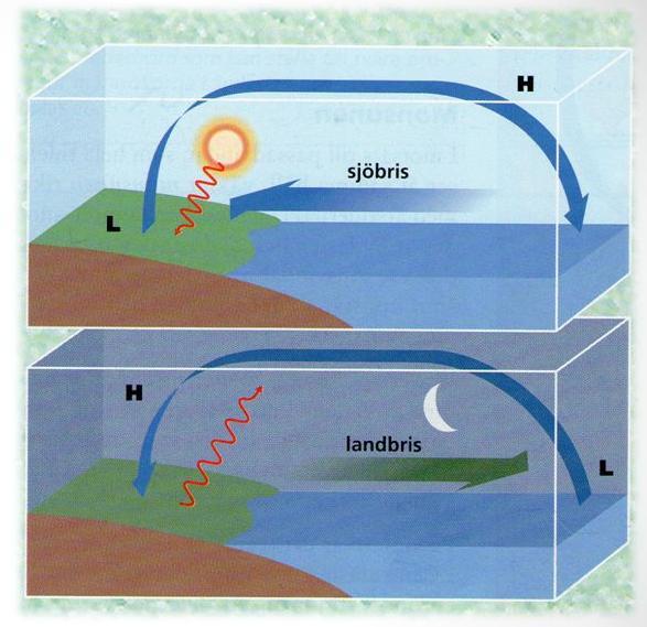 Sjöbris, Landbris Sjöbris Sol på land g stig Kallt hav / sjö Kall vind in över land Landbris Utstrålning g