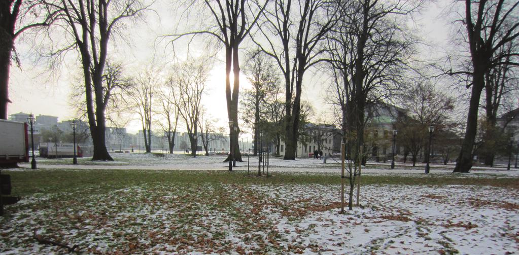 Nya träd i Hamnparken och Rådhusparken Arkeologisk undersökning i form av schaktningsövervakning vid trädplantering i Hamnparken och Rådhusparken,