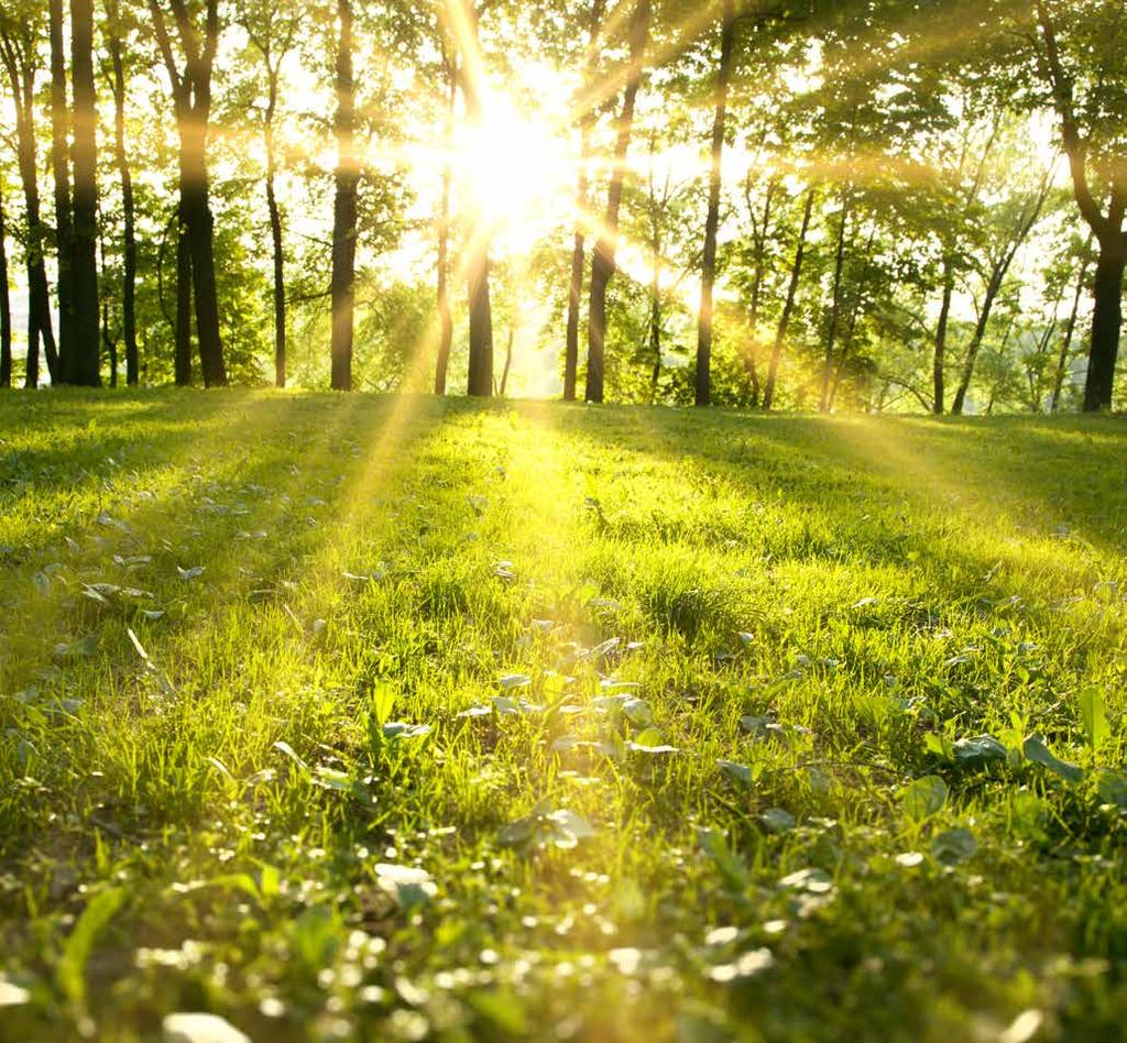KOM OCH BESÖK OSS I SOMMAR!