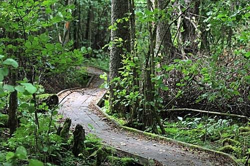 Vandring Finjasjöleden Vandring och naturupplevelse längs Finjasjöleden