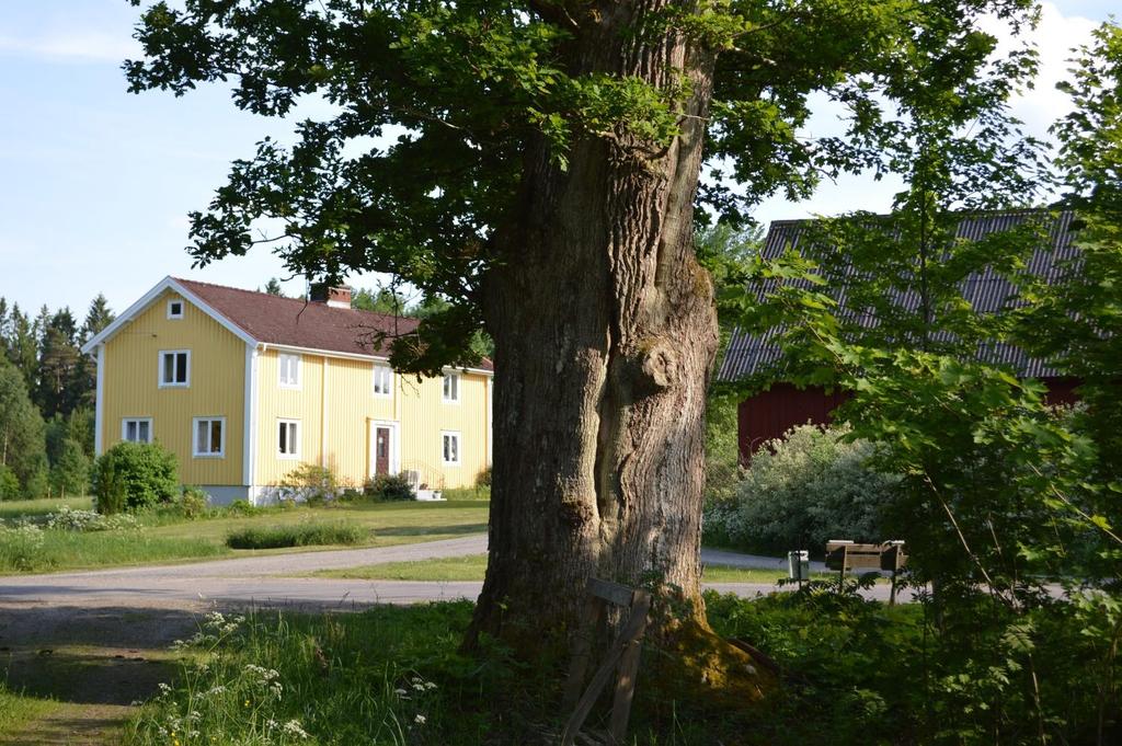 Två skogsfastigheter Älmhult 129 ha Två skogsfastigheter intill varandra med god arrondering. Skogsmark ca 121 ha med virkesförråd om ca 10 200 m3sk. Huvudsakligen yngre produktiv skog.