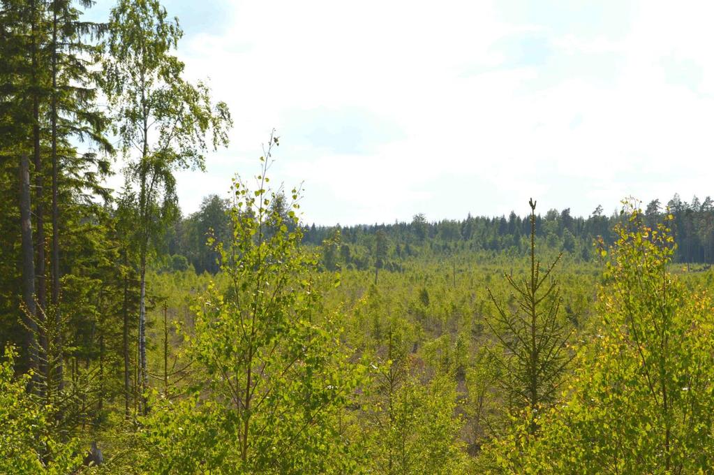Natur/kultur Fastigheterna ligger i det småländska skogslandskapet och området är rikt på sjöar. Till blivande Nationalpark Åsnen är avståndet ca 15 km.