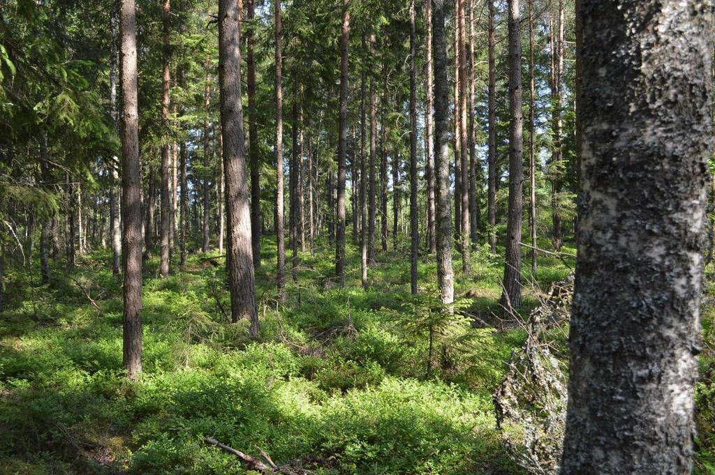 Skatte tal ½ mantal. Areal Den sammanlagda arealen enligt fastighetsregistret är 128,64 ha. Arealen enligt fastighetstaxeringen är 128 ha.
