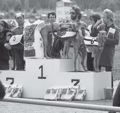 Derbyvinnare 1977, GW Jätten, Janne Halldoff, SHS, tvåa Blackwater, Ove Lindberg, GHK, trea GW Grand Hero, Jan-Erik Lundqvist, SHS. Hof of Dog og Derb erby 1. GW Jätten, SHS, 32.13 2.