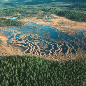1009345 Hägenlammsmyran (X7) Kommun Ljusdal Areal land 344ha Myrregion E varav myr 247ha Totalareal 457ha Areal vatten 113ha Areal skogsmark ovan fj.gräns 0ha Areal skogsmark ned. fj.gräns 97ha varav prod.