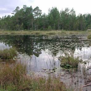 1009352 Håmansmaren och Gräsharen (X18) Kommun Gävle Areal land 141ha Myrregion D varav myr 20ha Totalareal 324ha Areal vatten 182ha Areal skogsmark ovan fj.gräns 0ha Areal skogsmark ned. fj.gräns 105ha varav prod.