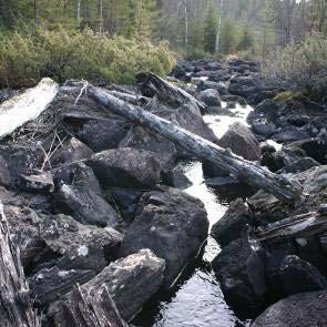 1009429 Kärr vid Los (X9) Kommun Ljusdal Areal land 93ha Myrregion E varav myr 50ha Totalareal 102ha Areal vatten 8ha Areal skogsmark ovan fj.gräns 0ha Areal skogsmark ned. fj.gräns 47ha varav prod.