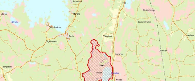 Länsstyrelsens bedömning Lomsmuren med Svartsjömuren är ett utomordentligt intressant och välutvecklat myrkomplex med stora öppna mossekupoler av varierande beskaffenhet.