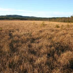 1012106 Andersvallsslåtten (del av X11) Kommun Ljusdal, Bollnäs Areal land 178ha Myrregion E varav myr 141ha Totalareal 193ha Areal vatten 14ha Areal skogsmark ovan fj.gräns 0ha Areal skogsmark ned.