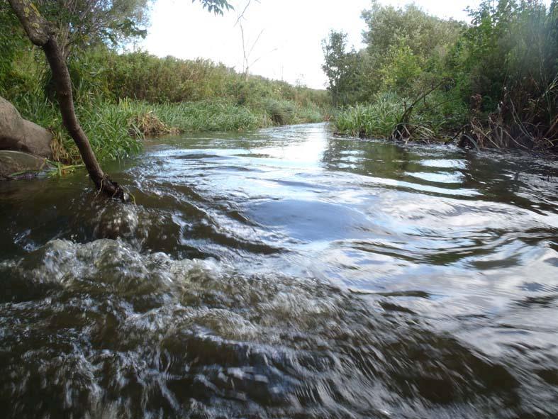 Fiskundersökningar i Sege å 2011 Segeåns Vattendragsförbund