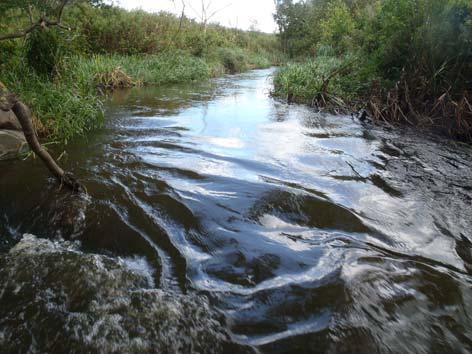 Bilaga 1 Vattensystem Vattendrag Lokalnummer Datum Sege å 090 Sege å L3 2011-09-16 Lokalnamn Lokalkoordinater Kommun Karta Skabersjö X:616137 Y:133051 Malmö 2C SV Provtagare: Anders Eklöv, Jonas