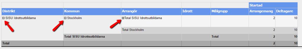 När man valt sin filtrering så klickar man på knappen Visa rapport.