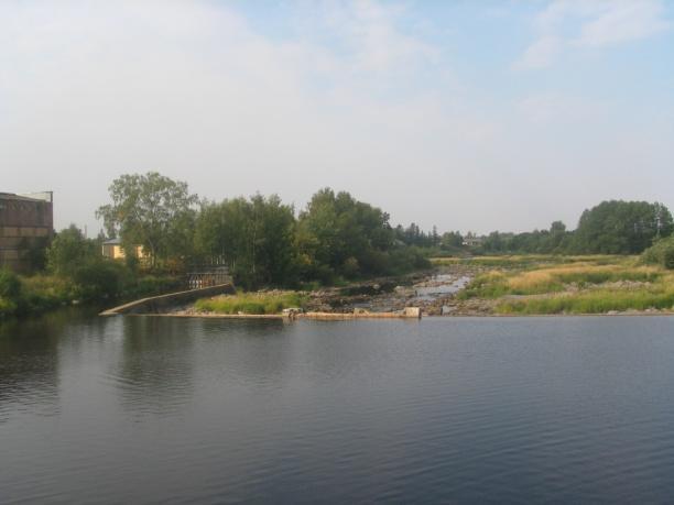 vattenvård Biodiversitetstrategi