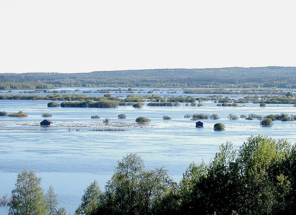 Utkast till förvaltningsplan för Torne älvs vattenförvaltningsområde fram