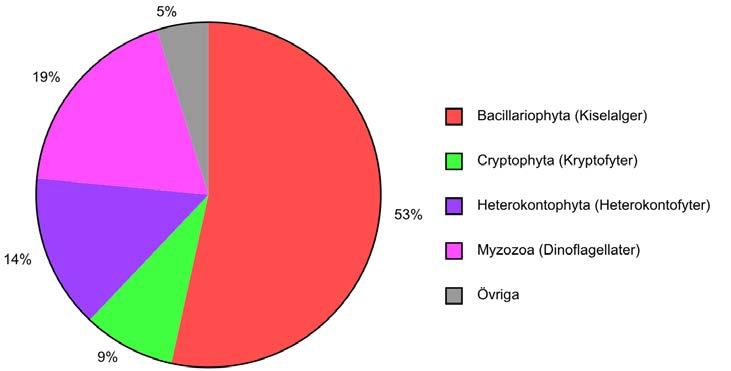 Figur 3. Växtplanktonbiomassans fördelning (%) på olika grupper i Närdingen under augusti 2015. Fisk Nätens placering vid provfisket i Närdingen 2015 visas i bilaga 2.