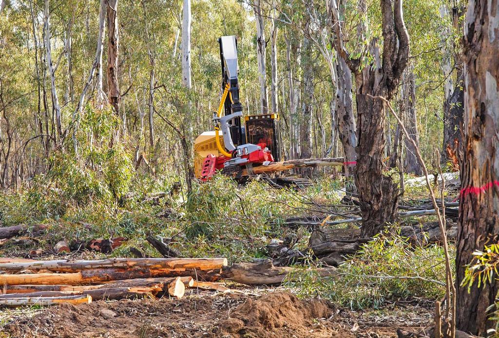 DOWN UNDER, LESS IS MORE MED R5500 Scandinavian Forestry har anammat konceptet LESS IS MORE i sågenheten R5500 och tagit den ända till Australien med stor framgång.