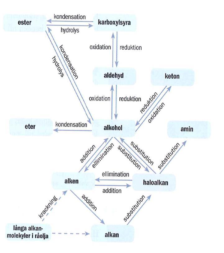 Organiska stamträdet