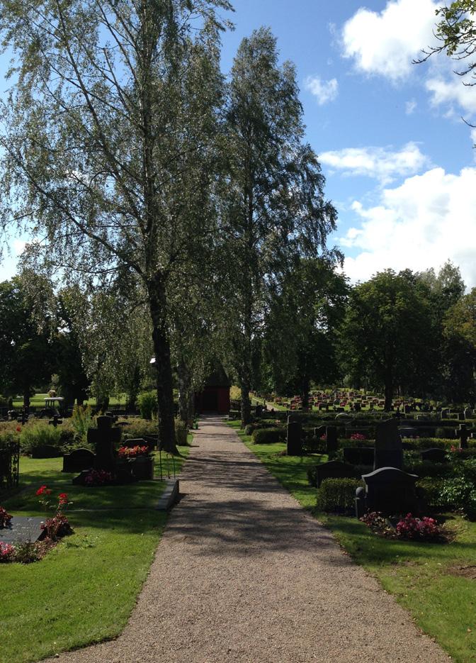 Priser för växtmaterial Vårplantor Penséer 17:- Påsklilja i kruka 33:- Sommarblommor Isbegonia 18:-