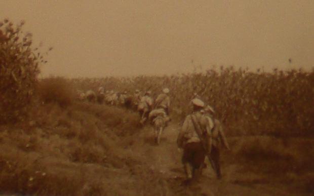 oktober 1904 endast marscherat fram några km skulle dess blotta närvaro på slagfältet hindrat Oku att koncentrera sitt anfall mot XVII.kåren ensam.